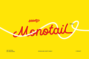 Monotail Script | Monoline Font, a Handwritten Font by Jolicia Type (Thumbnail 1 of 13)