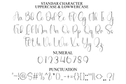 Elegant Magnolia, a Handwritten Font by FreshTypeINK (Thumbnail 5 of 8)