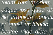 The Aesthetica Serif Modern Font, a Serif Font by UICreative (Thumbnail 13 of 13)