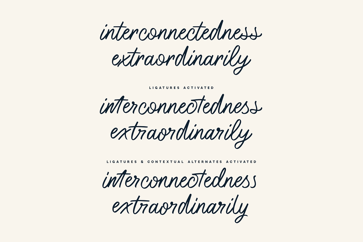 Typeful - Handwritten Script Font, a Script Font by Only Fonts (Photo 11 of 16)