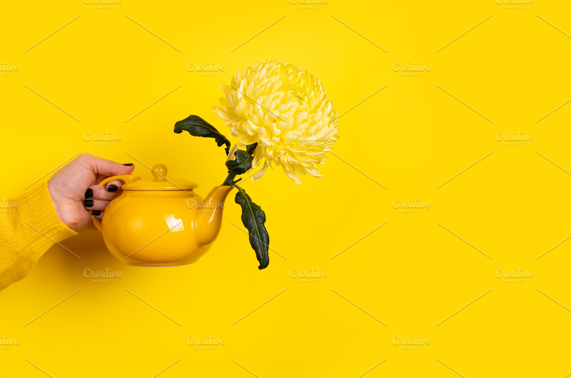 Hand holding a yellow teapot with a blooming chrysanthemum again, a Food & Drink Photo by Ales Munt