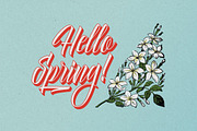 Delphin Spring - Vintage Script, a Script Font by Konstantine Studio (Thumbnail 4 of 9)