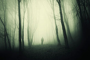 Halloween Forest pack 2018 Hi Res, a Nature Photo by Atmospheric visuals (Thumbnail 8 of 11)