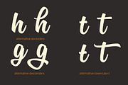 Sanelma, a Script Font by Mika Melvas (Thumbnail 9 of 11)