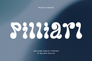 Pilliarl Fun Slime Display Font, a Handwritten Font by Maulana Creative (Thumbnail 1 of 7)