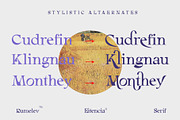 Eitencia, a Serif Font by Damelev (Thumbnail 11 of 12)