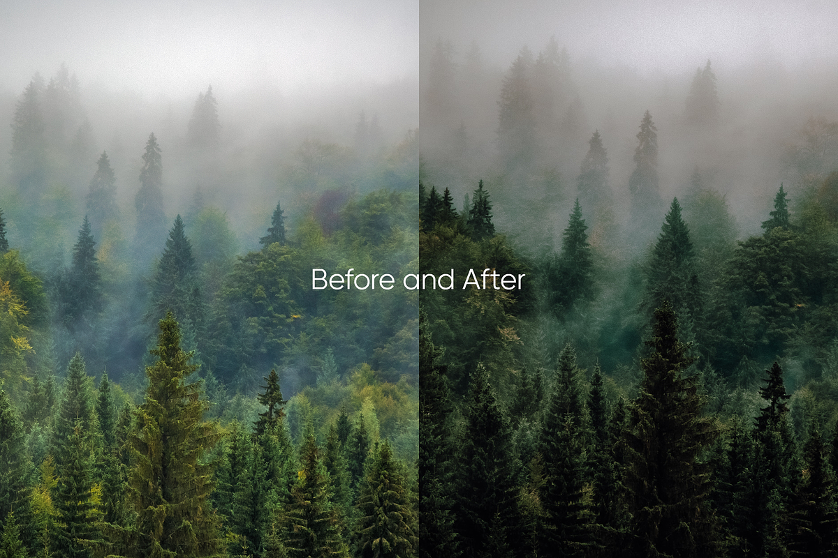 10 Evergreen Lightroom Presets, a Preset Add-On by Oak Digital Studios (Photo 5 of 10)