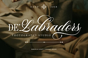 Barsela Calligraphy, a Script Font by Suza Studio (Thumbnail 2 of 12)