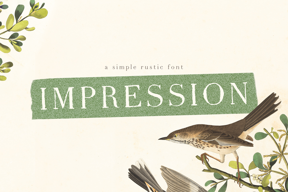 Impression font, a Serif Font by elvinova (Photo 1 of 8)