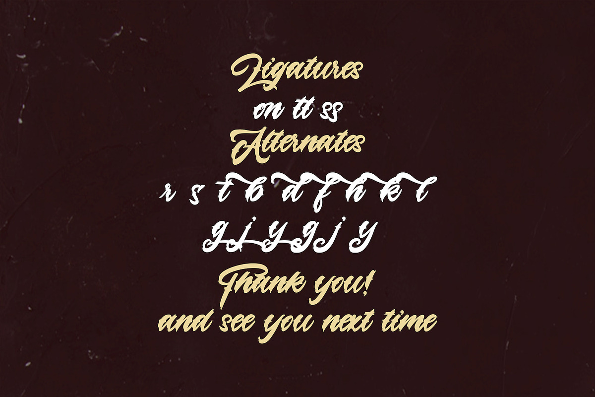 Lazyday - Bold Script Font, a Script Font by StringLabs (Photo 13 of 13)
