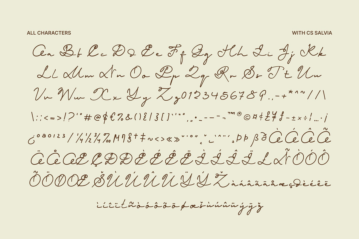 CS Salvia – Signature Font, a Script Font by Craft Supply Co. (Photo 8 of 8)
