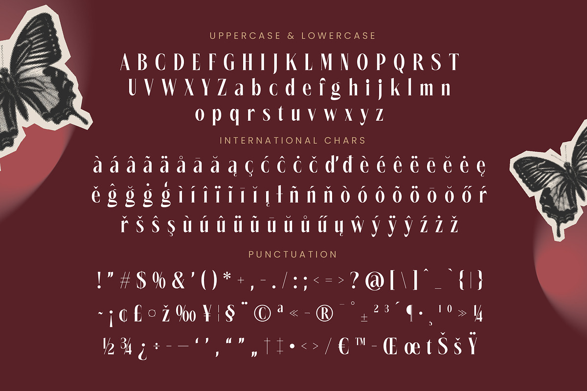 Rigflia Nirsho Modern Serif Font, a Serif Font by timelesstype.co (Photo 19 of 20)