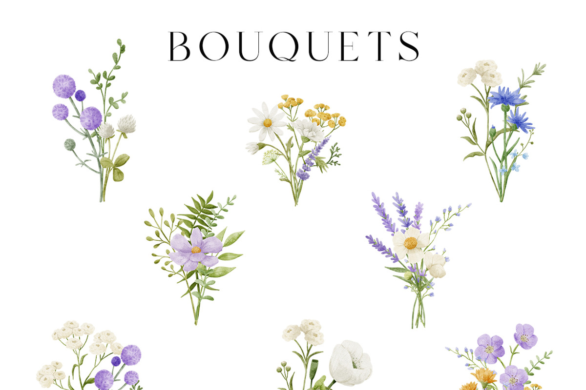 Watercolor Summer Wildflowers, an Illustration by polikarpovaart (Photo 5 of 16)