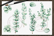 Baby Eucalyptus Illustration, a Decorative Illustration by DioFlow (Thumbnail 6 of 6)
