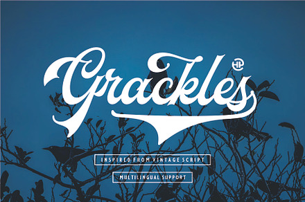 GRACKLES, a Script Font by Havinkpen