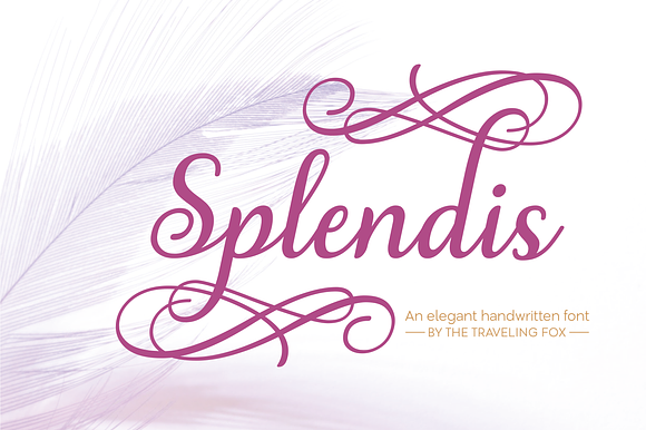 Splendis - Calligraphy Font preview 8