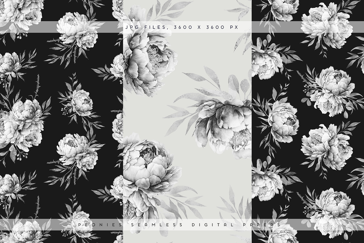 Peonies Patterns & Elements IV, a Decorative Illustration by PeDe Designs