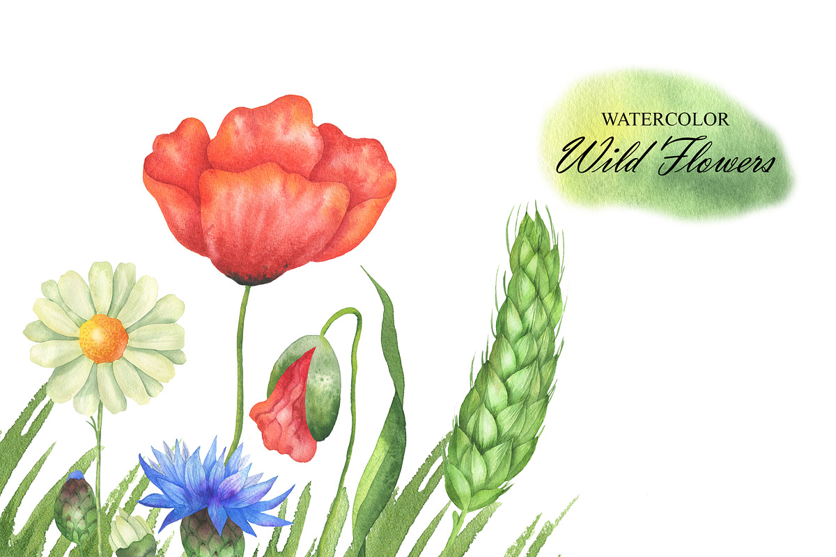 Watercolor Wildflowers clipart, an Illustration by OlDm_Shop (Photo 5 of 7)