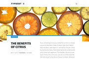 Typeset. A Magazine Blog & Portfolio, a WordPress Template by Courtyard Themes (Thumbnail 3 of 4)