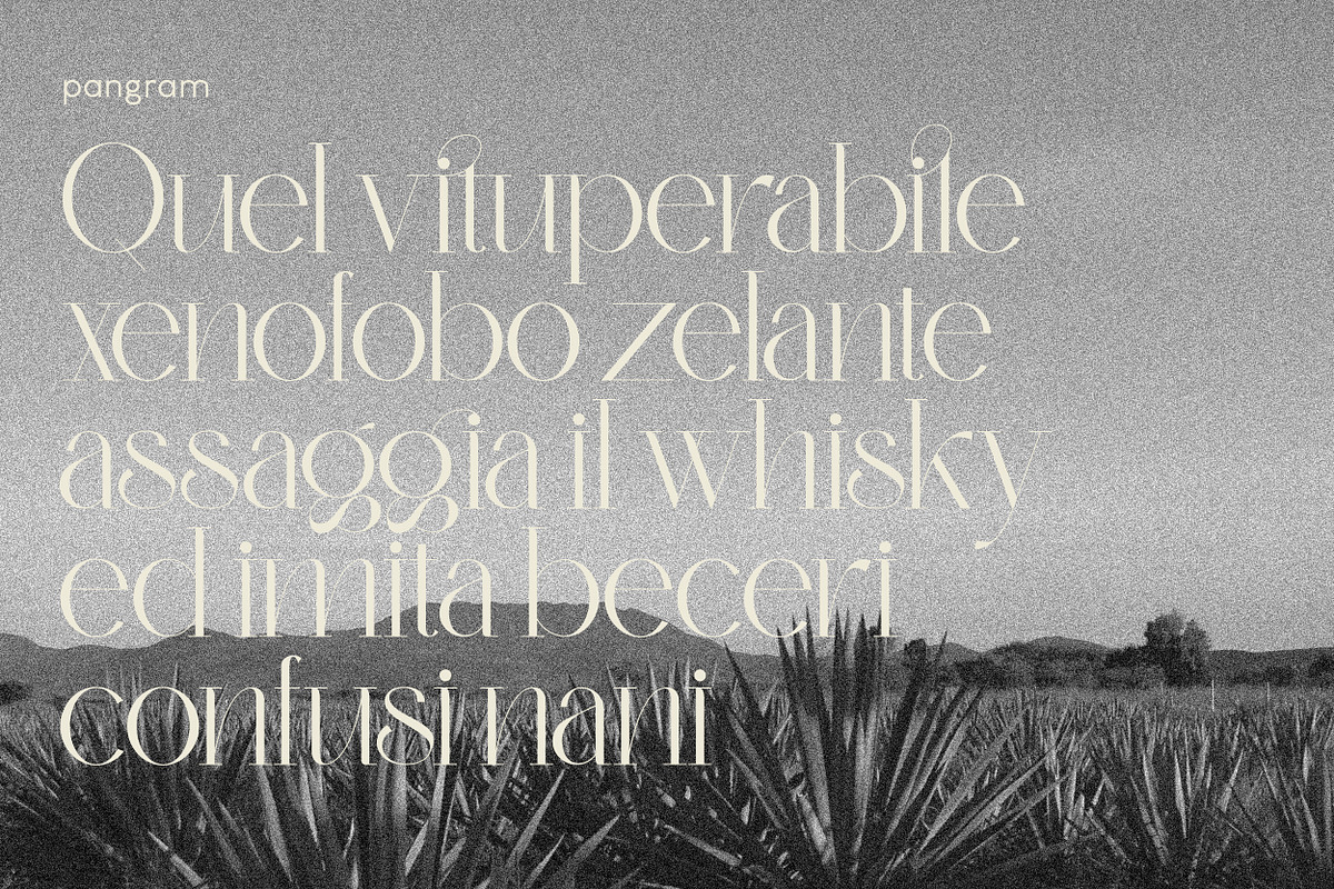 Monteilga Serif Font, a Serif Font by Hishand Studio (Photo 10 of 10)