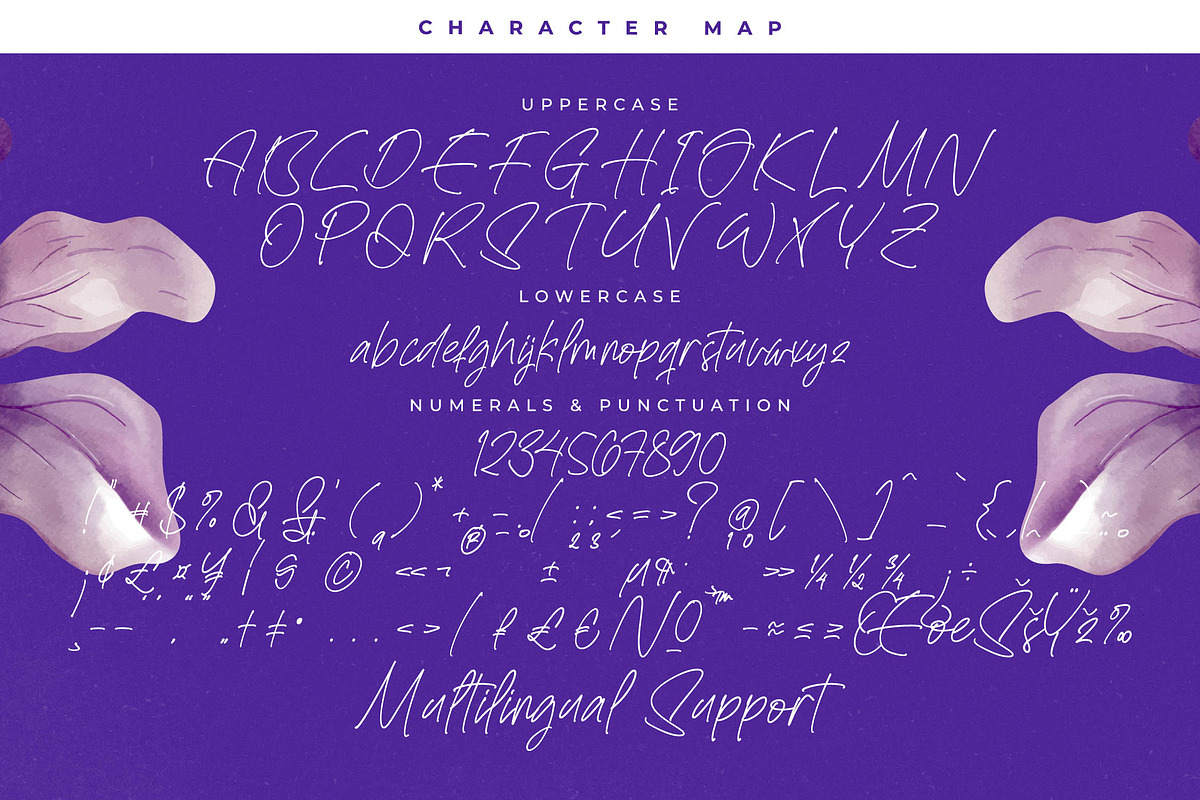 Bestnight Tropicals Ballpoint Script, a Script Font by stylishtype.co (Photo 18 of 20)