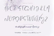 Holly Jolly Hand Drawn Font, a Handwritten Font by Happy Letters (Thumbnail 5 of 11)