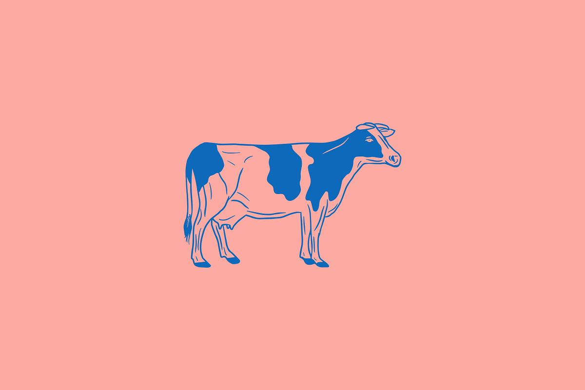 Vector Bovine Graphics, an Animal Illustration by Dorey Kronick Art&Design (Photo 8 of 19)