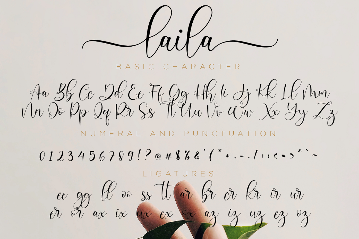 Laila // Modern Script, a Script Font by Nissa Studio (Photo 11 of 12)