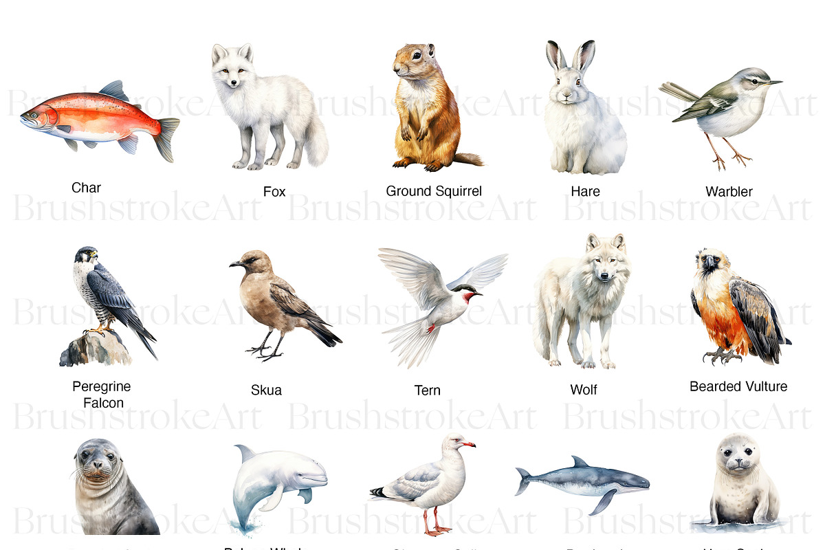 Arctic Animals Adventure, an Animal Illustration by BrushstrokeArtGB (Photo 2 of 9)
