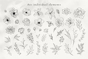 Minimalist Line Art Flowers, a Decorative Illustration by La Petite Line Art (Thumbnail 2 of 13)