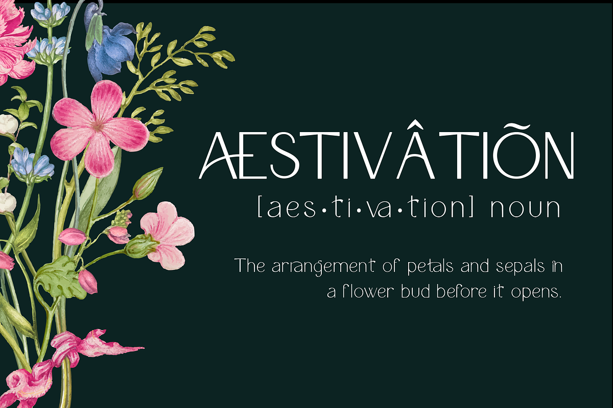 Glorya Modern Stylish, a Sans Serif Font by Say Studio (Photo 21 of 25)