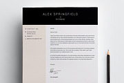 Resume / CV - Quint, a Resume Template by 3Angle (Thumbnail 4 of 5)