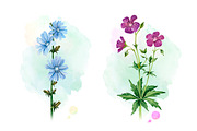 Watercolour wild nature, a Pattern Graphic by Sundra (Thumbnail 18 of 19)