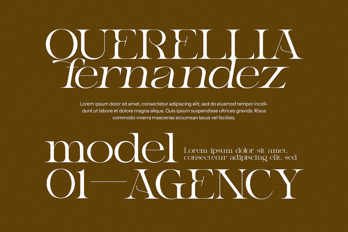 Balme Modern Serif Font, a Serif Font by Graphicxell (Photo 6 of 8)