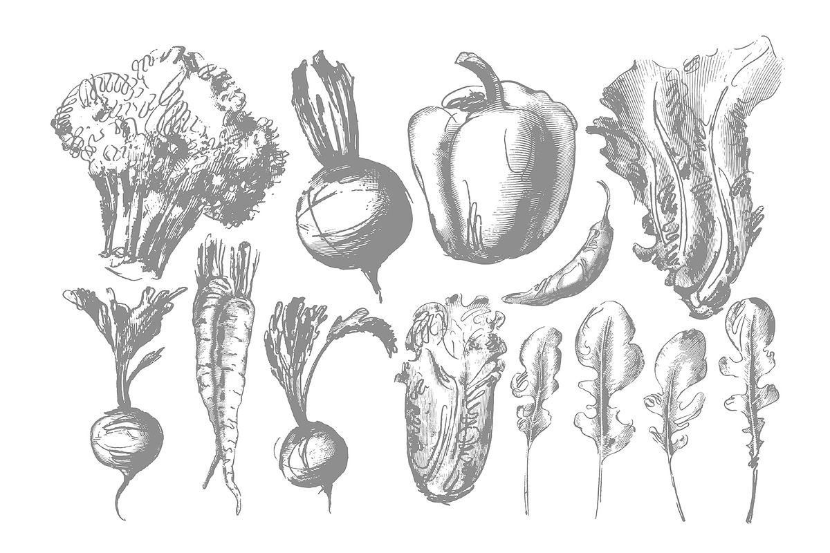 Vegetable collection, an Object Graphic by Siosay (Photo 4 of 13)