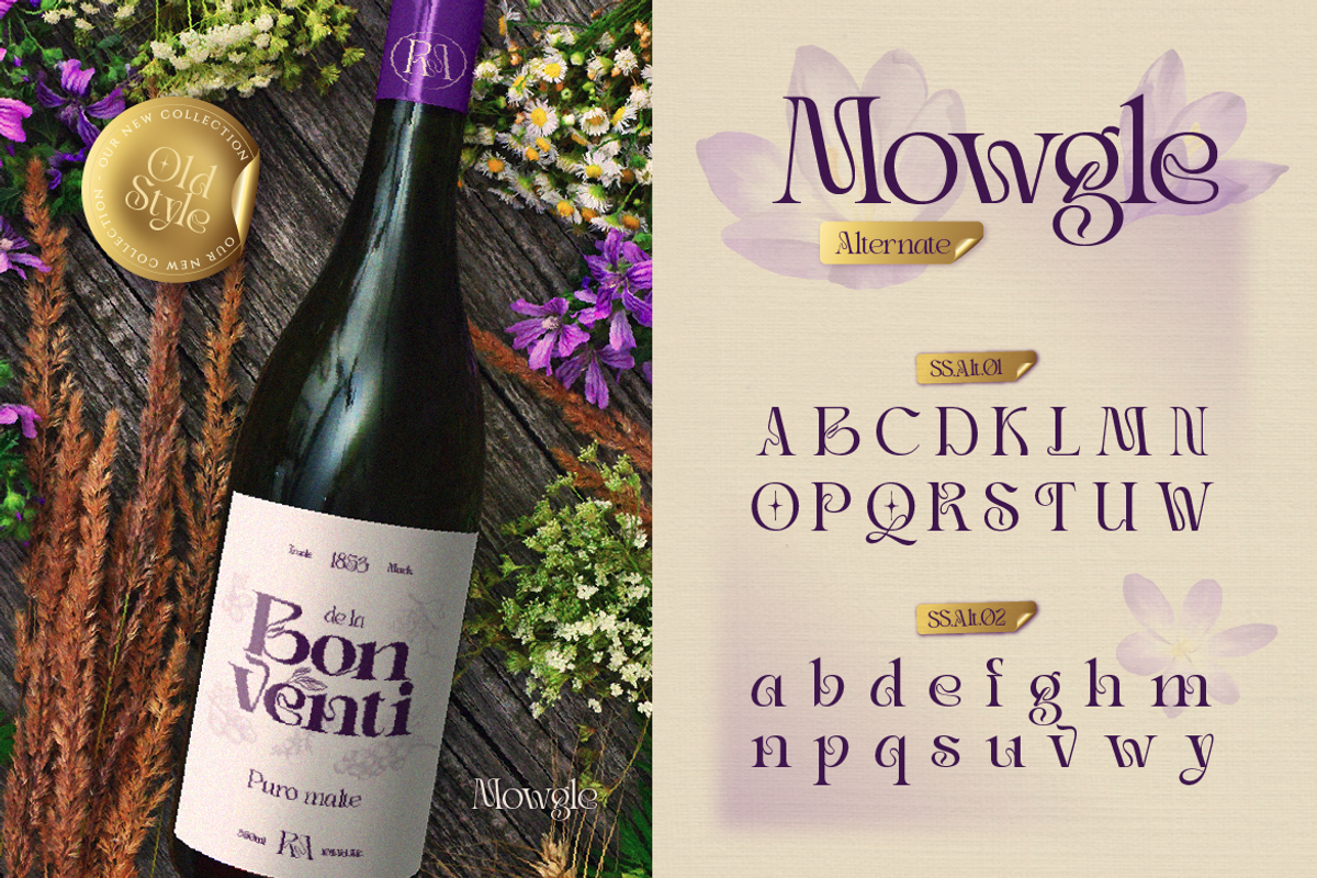 Mowgle, a Serif Font by Burntilldead (Photo 7 of 12)