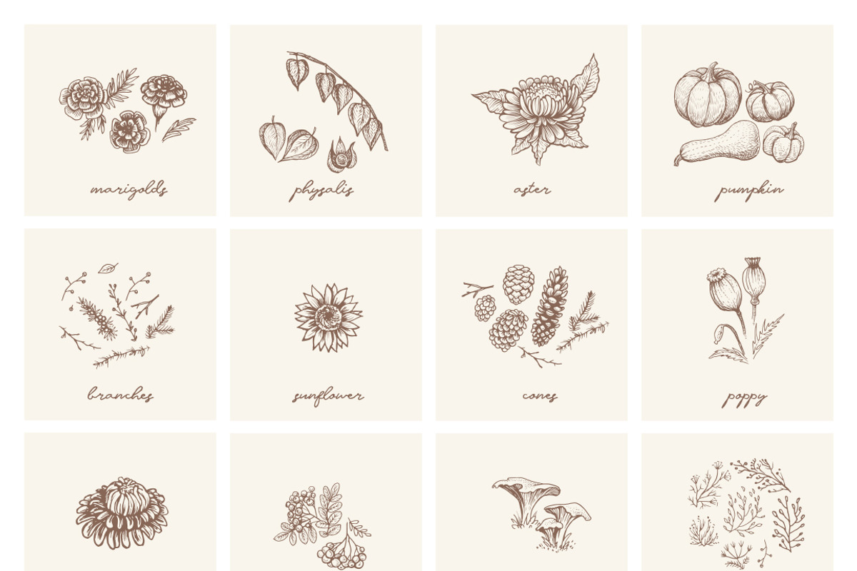 Autumn botanical sketches, a Decorative Illustration by Aquatinta (Photo 2 of 8)