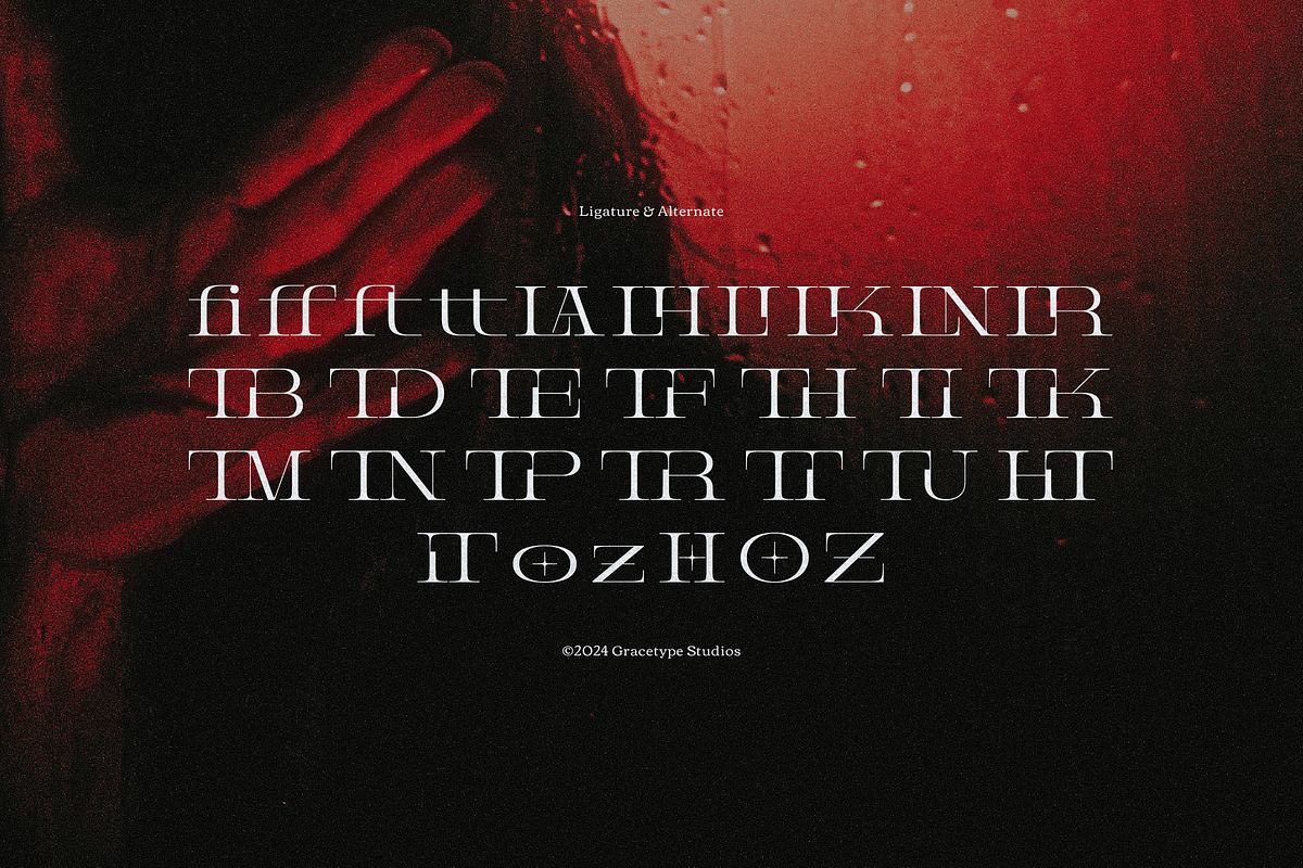 Prostetrix | Serif Typeface, a Serif Font by gracetype_studio (Photo 11 of 12)