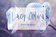 Wilson Font, a Script Font by SophieSaxo (Thumbnail 3 of 9)