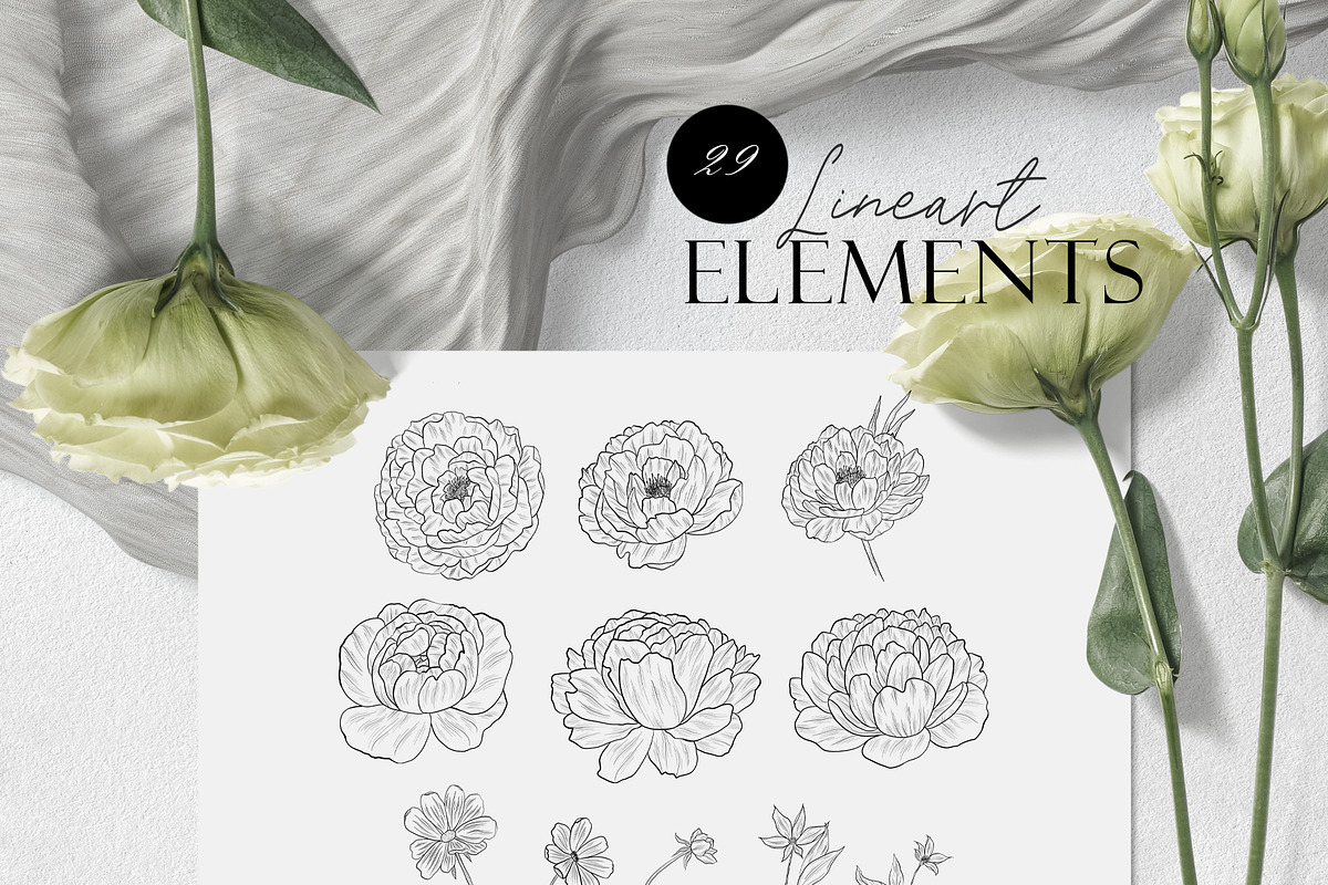 Line Art Flowers Collection, a Decorative Illustration by Letters-Shmetters (Photo 7 of 10)