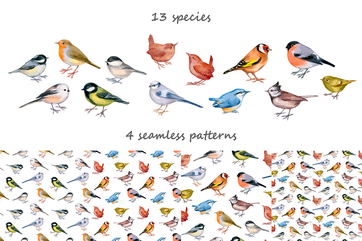 Small forest birds - vector clipart, an Animal Illustration by ViktoriArt (Photo 2 of 6)