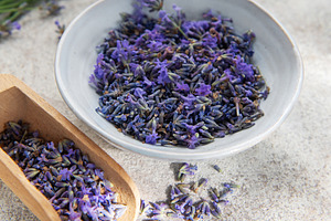 Lavender buds in bowl and scoop for aromatherapy, a Nature Photo by Olena Rudo