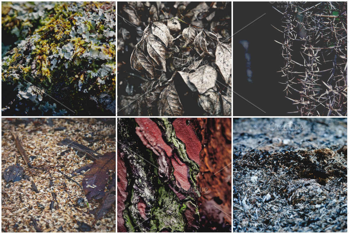 iseeyouphoto NATUREBACKGROUNDS, a Templates & Theme by ISEEYOUPATTERN (Photo 2 of 4)