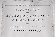 Paris 1920 Script & Sans, a Script Font by BlueRobinDesignShop (Thumbnail 7 of 10)