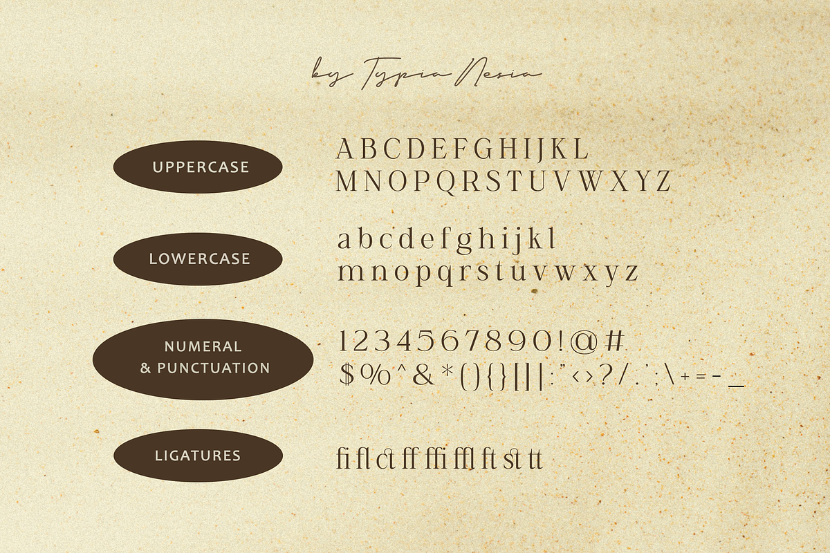 Established Serif, a Serif Font by Typia Nesia (Photo 10 of 10)