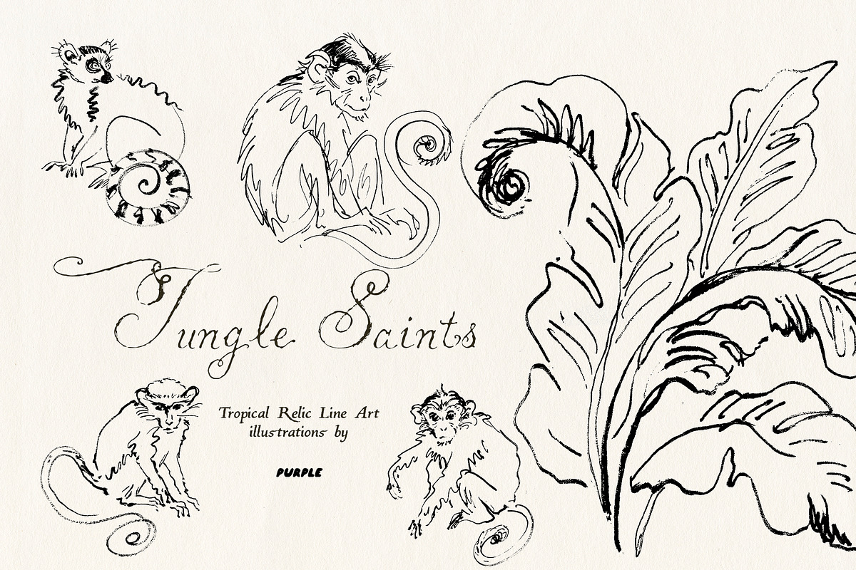 Jungle Saints: Tropical Line Art, an Object Illustration by Purple (Photo 10 of 15)
