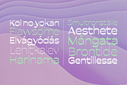 Lunastral Thin, a Sans Serif Font by OceaneM (Thumbnail 6 of 8)