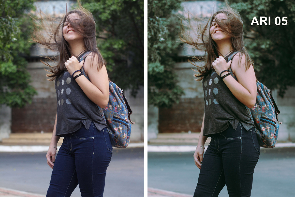 Ariel Bourgoing Presets Film & Moody, an Action Add-On by Bourgoing Presets (Photo 6 of 11)
