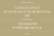Ryndurn, a Serif Font by Zaloma Studio (Thumbnail 20 of 20)