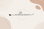 Malgosha Script, a Script Font by moriztype (Thumbnail 13 of 21)